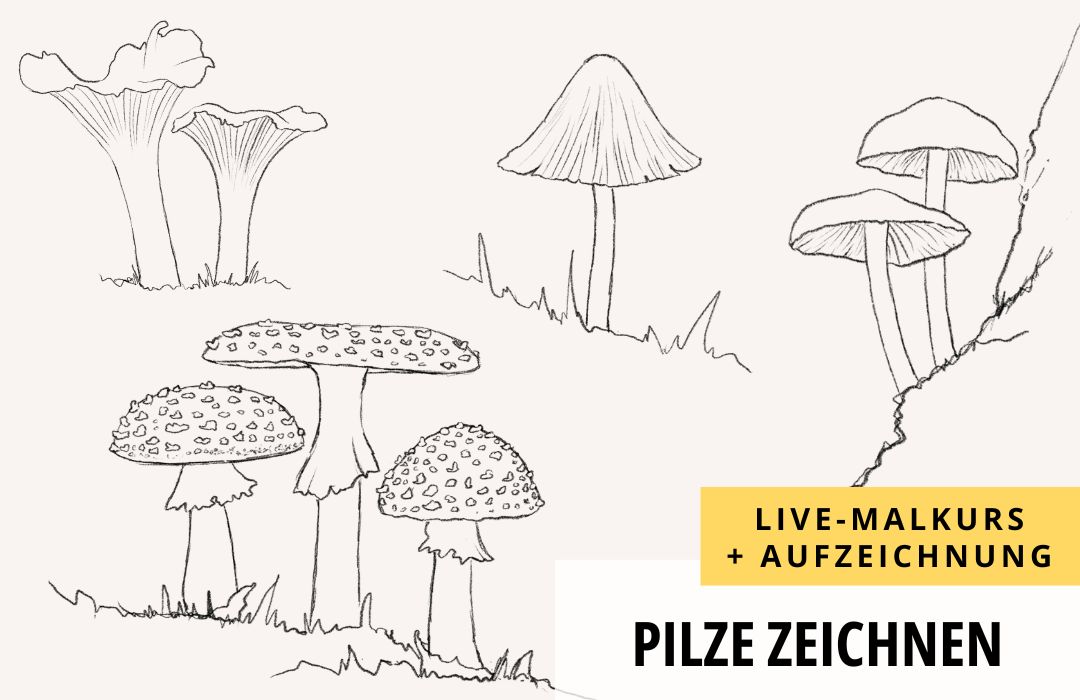 Pilze zeichnen (Live-Kurs + Aufzeichnung)